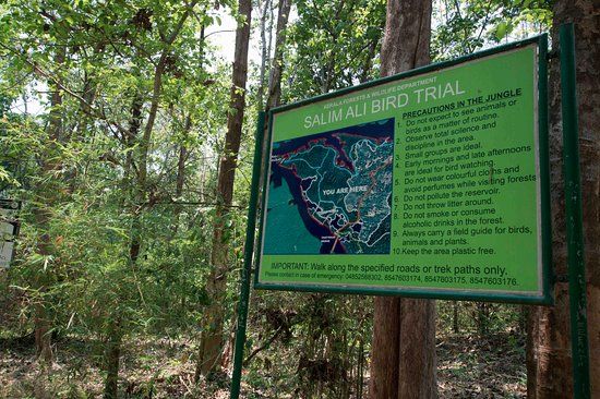 Thattekad Bird Sanctuary